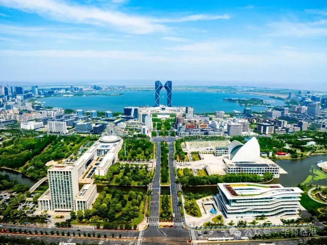 “小蓝鲸”大学生实习招募｜临港新片区2026年大学生政务实习暑期专项招募通知！